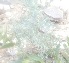  (Artemisia maritima - Ziarat 128)  @11 [ ] Unspecified (default): All Rights Reserved (2019) Shazia Irfan BUITEMS