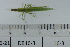  ( - DB16-3)  @11 [ ] c (2022) Unspecified Specimen depository of the Graduate School of Science, Nagoya City University