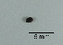  ( - LBN108-83)  @11 [ ] c (2023) Unspecified Specimen depository of the Graduate School of Science, Nagoya City University