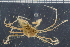  ( - ZMBN_98422)  @13 [ ] CreativeCommons - Attribution Non-Commercial Share-Alike (2015) University of Bergen University of Bergen, Natural History Collection