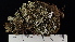  (Cladonia novochlorophaea - ABMI.L.1359116)  @11 [ ] CreativeCommons  Attribution Non-Commercial Share-Alike (2022) Diane L. Haughland Alberta Biodiversity Monitoring Institute