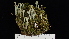  (Cladonia fimbriata - ABMI.L.1529966)  @11 [ ] CreativeCommons  Attribution Non-Commercial Share-Alike (2022) Diane L. Haughland Alberta Biodiversity Monitoring Institute