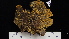 ( - DLH-2014-20)  @11 [ ] CreativeCommons  Attribution Non-Commercial Share-Alike (2022) Diane L. Haughland Alberta Biodiversity Monitoring Institute