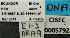  (Pheidole EC40 - BCAR179)  @11 [ ] CreativeCommons - Attribution (2015) David Donoso UTPL