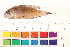  ( - OL-0080)  @12 [ ] CreativeCommons - Attribution (2010) Unspecified Centre for Biodiversity Genomics