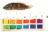  ( - OL-0092)  @12 [ ] CreativeCommons - Attribution (2009) Unspecified Centre for Biodiversity Genomics