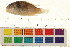  ( - OL-0335)  @13 [ ] CreativeCommons - Attribution (2009) Unspecified Centre for Biodiversity Genomics