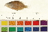  ( - OL-0565)  @13 [ ] CreativeCommons - Attribution (2009) Unspecified Centre for Biodiversity Genomics