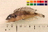  ( - OL-0327)  @12 [ ] CreativeCommons - Attribution (2010) Unspecified Centre for Biodiversity Genomics