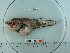  ( - BEAU2012-126)  @13 [ ] Copyright (2012) C. W. Mecklenburg Point Stephens Research