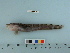  ( - BEAU2012-43)  @14 [ ] Copyright (2012) C. W. Mecklenburg Point Stephens Research