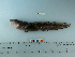  ( - BEAU2012-44)  @14 [ ] Copyright (2012) C. W. Mecklenburg Point Stephens Research