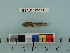  ( - BEAU2012-114a)  @13 [ ] Copyright (2012) C. W. Mecklenburg Point Stephens Research