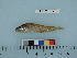  ( - PSRBC12-25)  @13 [ ] Copyright (2012) C. W. Mecklenburg Point Stephens Research