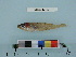  ( - PSRBC12-26)  @12 [ ] Copyright (2012) C. W. Mecklenburg Point Stephens Research