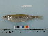  ( - PSRBC12-31)  @14 [ ] Copyright (2012) C. W. Mecklenburg Point Stephens Research