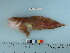  ( - RUSALCA12-27)  @13 [ ] Copyright (2012) C. W. Mecklenburg Point Stephens Research