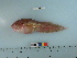  ( - RUSALCA12-34)  @13 [ ] Copyright (2012) C. W. Mecklenburg Point Stephens Research