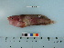  ( - RUSALCA12-38)  @13 [ ] Copyright (2012) C. W. Mecklenburg Point Stephens Research