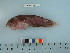  ( - RUSALCA12-39)  @13 [ ] Copyright (2012) C. W. Mecklenburg Point Stephens Research