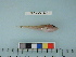  ( - RUSALCA12-42)  @13 [ ] Copyright (2012) C. W. Mecklenburg Point Stephens Research