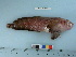  ( - RUSALCA12-44)  @13 [ ] Copyright (2012) C. W. Mecklenburg Point Stephens Research