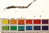  (Hemirhamphodon - OL-0128)  @13 [ ] CreativeCommons - Attribution (2009) Unspecified Centre for Biodiversity Genomics