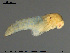  ( - EBAI-Ch141)  @12 [ ] CreativeCommons - Attribution Non-Commercial Share-Alike (2016) NTNU University Museum, Department of Natural History NTNU University Museum, Department of Natural History