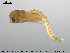  ( - EBAI-Ch005)  @12 [ ] CreativeCommons - Attribution Non-Commercial Share-Alike (2016) NTNU University Museum, Department of Natural History NTNU University Museum, Department of Natural History