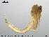  ( - EBAI-Ch006)  @12 [ ] CreativeCommons - Attribution Non-Commercial Share-Alike (2016) NTNU University Museum, Department of Natural History NTNU University Museum, Department of Natural History