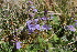  ( - EDNA22-0062561)  @11 [ ] NonCommercial ShareAlike (2023) Markus Ruhsam Royal Botanic Garden Edinburgh