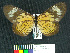  ( - MHNC-ELR-BAR 00086)  @11 [ ] CreativeCommons - Attribution Non-Commercial (2012) Museo de Historia Natural Alcide d'Orbigny Museo de Historia Natural Alcide d'Orbigny