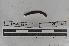  ( - EW-MI15-0301)  @12 [ ] CreativeCommons - Attribution Non-Commercial Share-Alike (2015) Thibaud Decaens Universite Montpellier, CEFE Lab