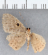  (Eurybia sp. CF145 - CFC39373)  @11 [ ] copyright (2021) Center For Collection-Based Research Center For Collection-Based Research