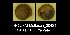  (Petasina - BC ZSM Mollusca_ 00424)  @13 [ ] CreativeCommons - Attribution Non-Commercial Share-Alike (2012) Zoologische Staatssammlung Muenchen SNSB, Zoologische Staatssammlung Muenchen
