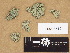  (Baeomyces rufus - H9203512)  @11 [ ] Copyright (2012) Diana Weckman Botanical Museum, Finnish Museum of Natural History, University of Helsinki