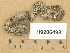  (Sporodictyon schaererianum - H9206498)  @11 [ ] Copyright (2014) Diana Weckman Botanical Museum, Finnish Museum of Natural History, University of Helsinki