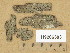  (Bacidia subincompta - H9206503)  @11 [ ] Copyright (2014) Diana Weckman Botanical Museum, Finnish Museum of Natural History, University of Helsinki
