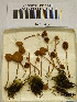  (Galerina pseudocerina - H6042348)  @11 [ ] CreativeCommons - Attribution Non-Commercial Share-Alike (2013) Balint Dima Botanical Museum, Finnish Museum of Natural History, University of Helsinki