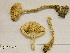  (Lepiota erminea - H6028740)  @11 [ ] CreativeCommons - Attribution Non-Commercial Share-Alike (2013) Balint Dima Botanical Museum, Finnish Museum of Natural History, University of Helsinki