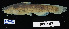  (Noturus leptacanthus - FWRI 02119)  @11 [ ] CreativeCommons - Attribution Non-Commercial Share-Alike (2017) Unspecified Fish and Wildlife Research Institute