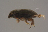  ( - GBOLBB375)  @11 [ ] CreativeCommons - Attribution Non-Commercial Share-Alike (2016) SNSB, Staatliche Naturwissenschaftliche Sammlungen Bayerns ZSM (SNSB, Zoologische Staatssammlung Muenchen)