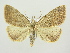  ( - BC ZSM Lep 82903)  @14 [ ] CreativeCommons - Attribution Non-Commercial Share-Alike (2014) Axel Hausmann/Bavarian State Collection of Zoology (ZSM) SNSB, Zoologische Staatssammlung Muenchen