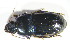  (Harpalus caspius - GBOL10661)  @14 [ ] CreativeCommons - Attribution Non-Commercial Share-Alike (2015) Unspecified SNSB, Zoologische Staatssammlung Muenchen