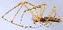  ( - GBOL14887)  @13 [ ] CreativeCommons - Attribution Non-Commercial Share-Alike (2015) SNSB (Staatliche Naurwissenschaftliche Sammlungen Bayerns) SNSB, Zoologische Staatssammlung Muenchen
