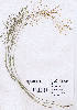  (Eragrostis patula - DNAFR000897)  @11 [ ] Copyright  Gujarat Biodiversity Gene Bank, GSBTM, DST, GoG Gujarat Biodiversity Gene Bank, GSBTM, DST, GoG