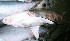  (Carcharhinus leiodon - RJ CCJ 6229)  @12 [ ] CreativeCommons - Attribution Non-Commercial Share-Alike (2012) Rima W. Jabado Unspecified