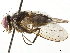  ( - BIOUG19932-G07)  @13 [ ] CreativeCommons - Attribution (2019) CBG Photography Group Centre for Biodiversity Genomics