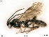  ( - BIOUG05261-G11)  @14 [ ] by-nc-sa (2020) SNSB, Staatliche Naturwissenschaftliche Sammlungen Bayerns SNSB, Zoologische Staatssammlung Muenchen