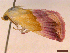  ( - CLV43162)  @11 [ ] CreativeCommons  Attribution Non-Commercial Share-Alike (2022) Carlos Lopez Vaamonde Institut National de la Recherche Agronomique, Zoologie Forestiere